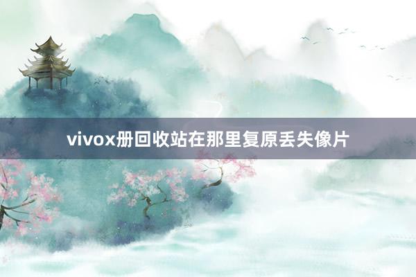 vivox册回收站在那里复原丢失像片