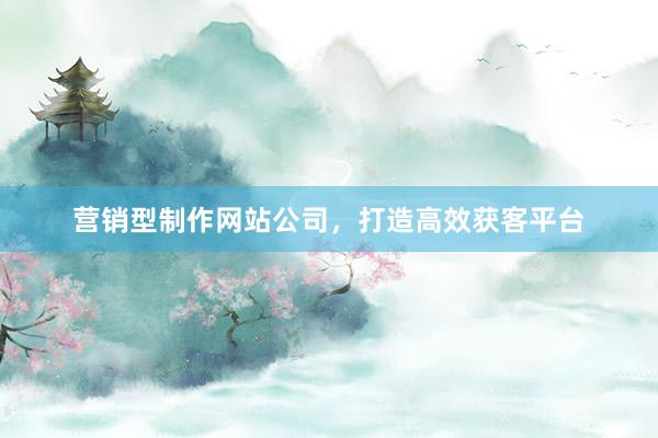 营销型制作网站公司，打造高效获客平台